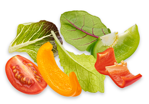 fresh cut vegetables
