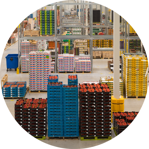 Food warehouse with produce in boxes
